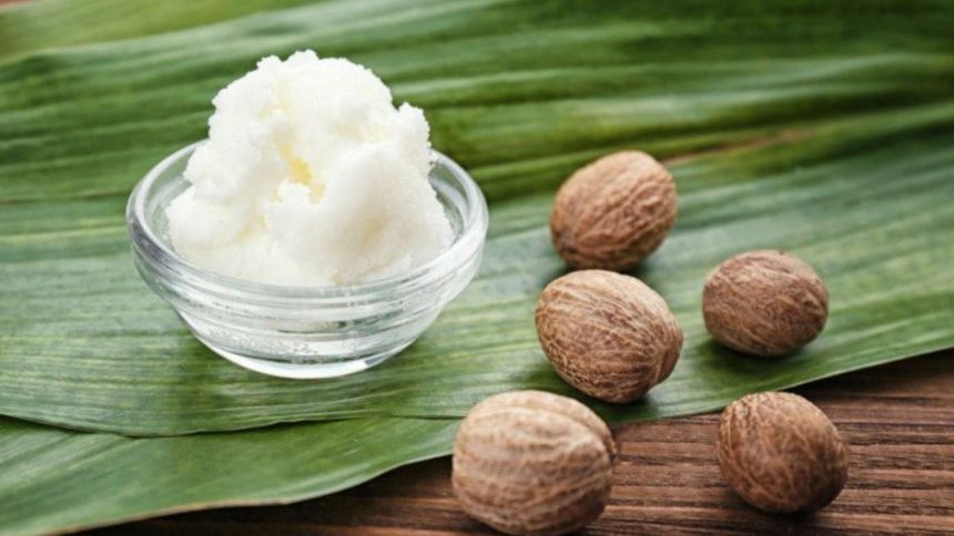 Is Shea Butter Worth All the Hype?