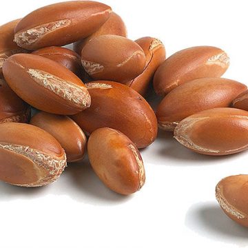 Argan Oil – Everything you need to know