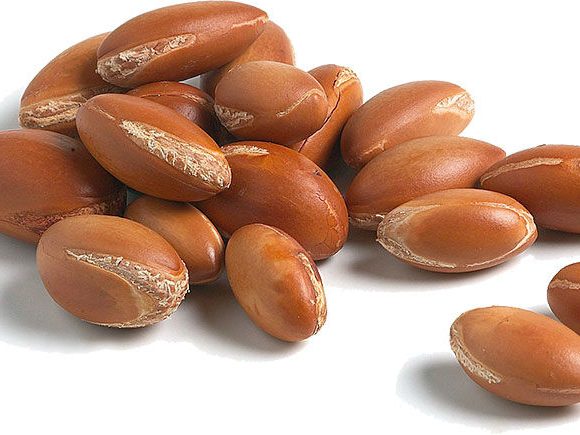 Argan Oil – Everything you need to know